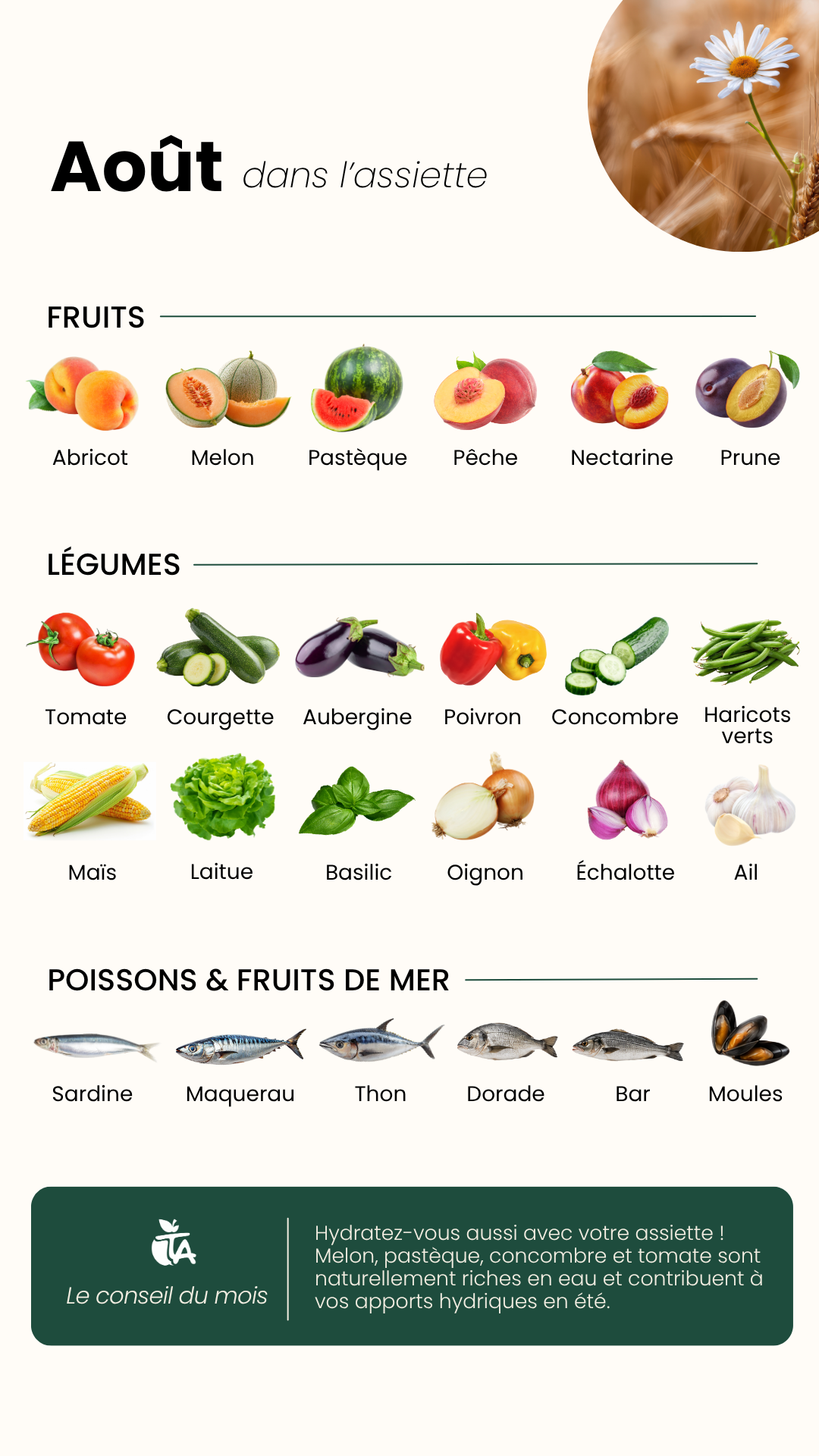 Fruits & Légumes d'Août — page 1 sur 1