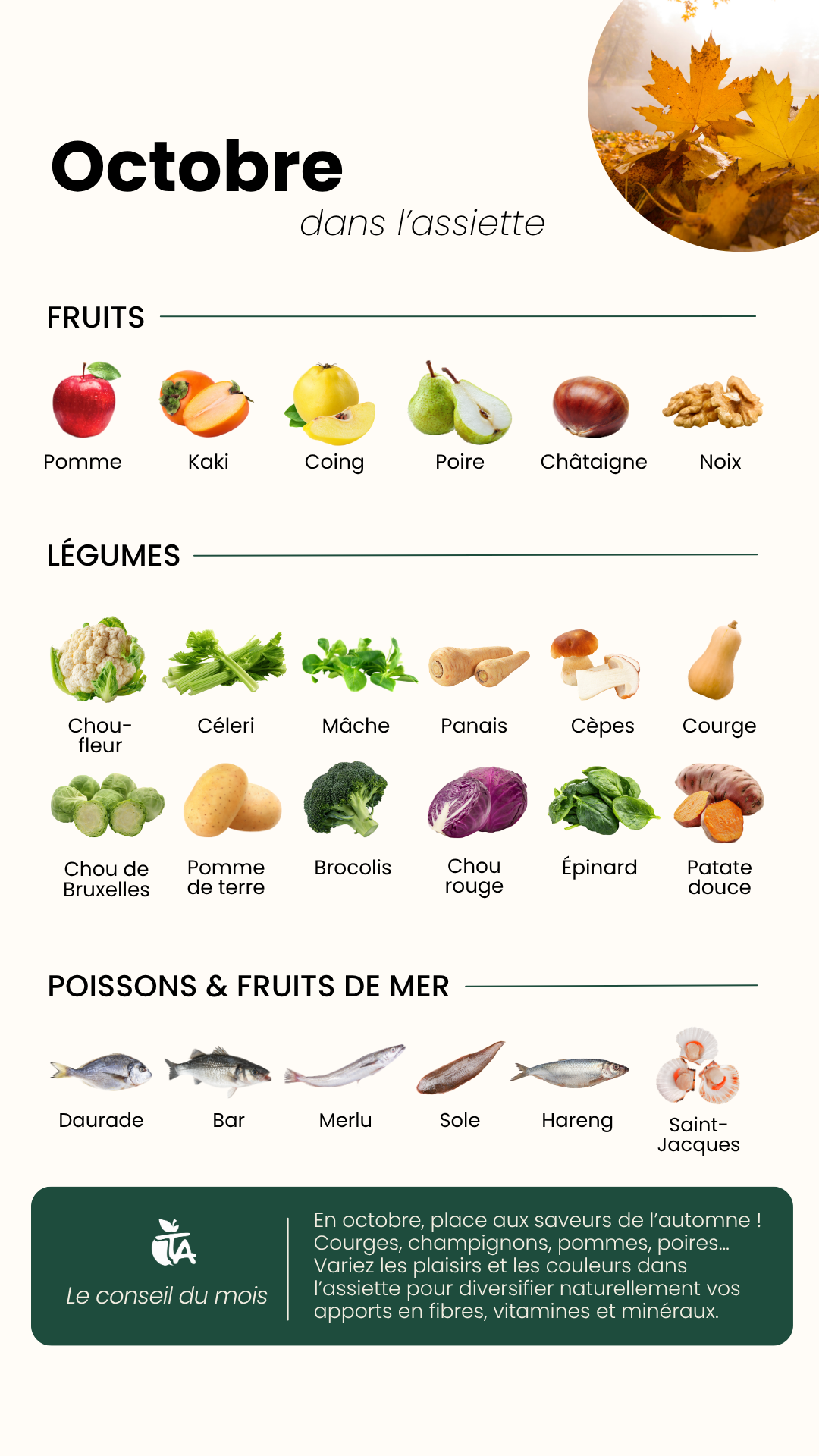 Fruits & Légumes d'Octobre — page 1 sur 1