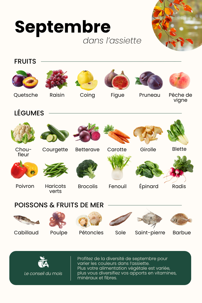 Fruits & Légumes de Septembre — page 1 sur 1