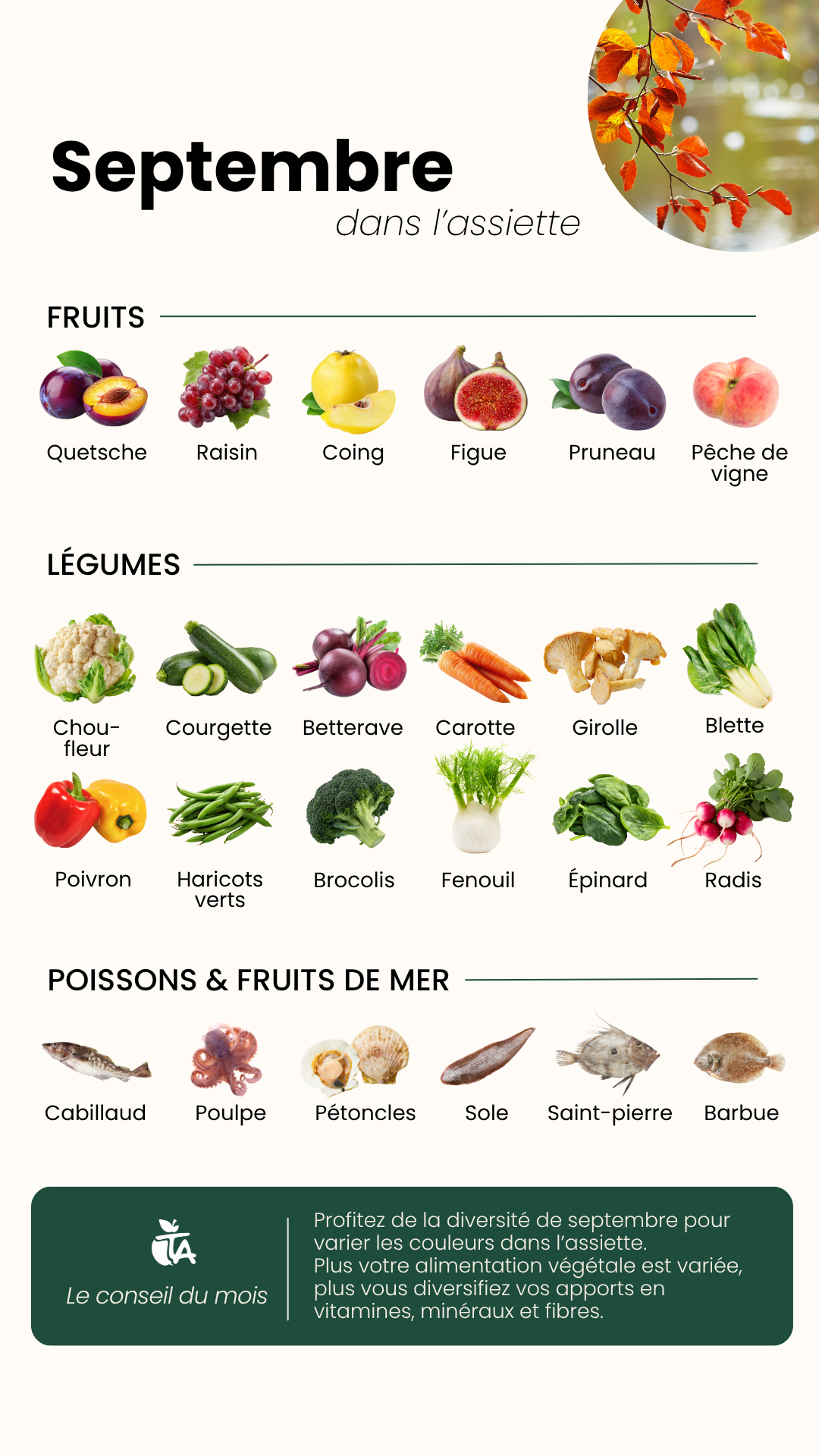 Fruits & Légumes de Septembre — page 1 sur 1