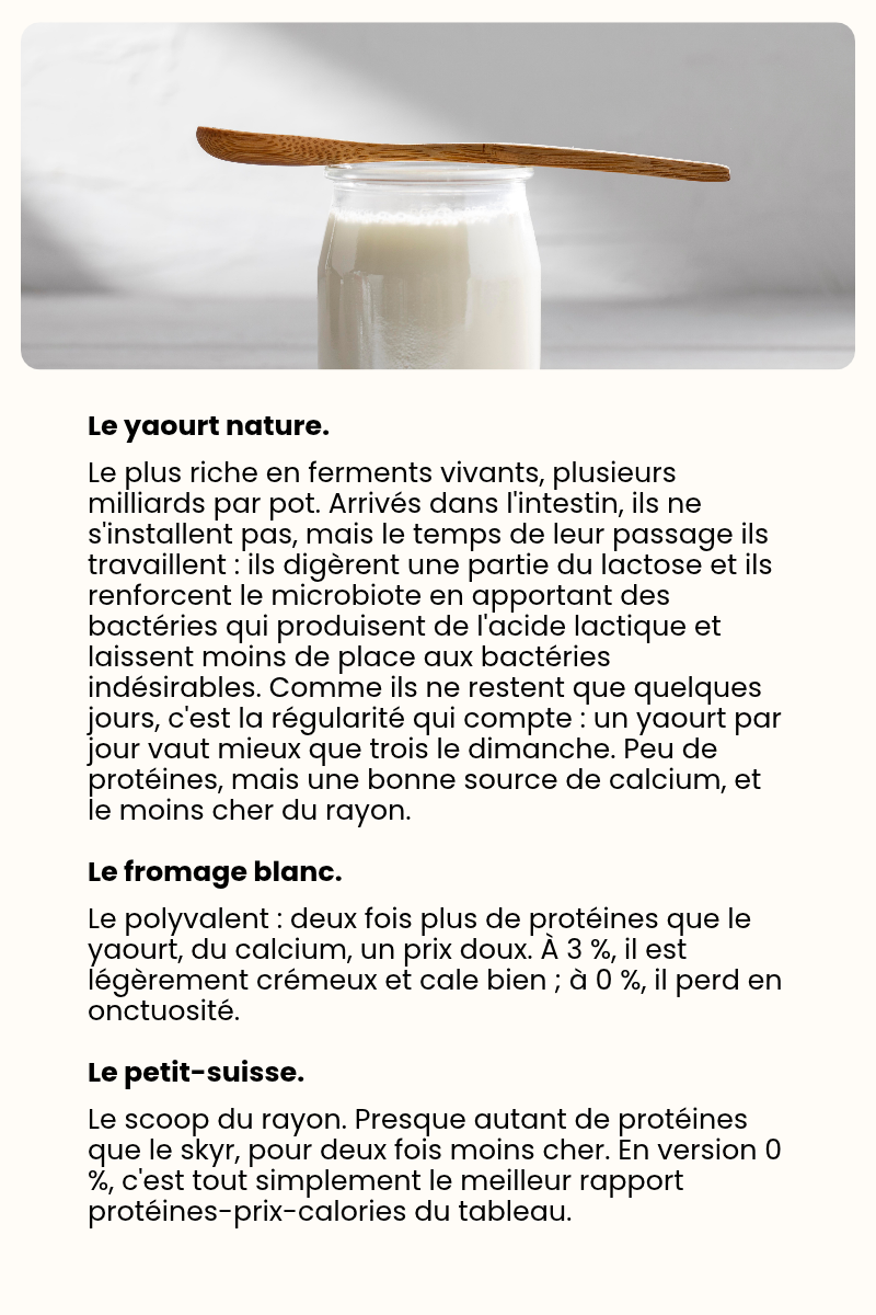 Fromage blanc, skyr, yaourt - Quelles différences ? — page 6 sur 10